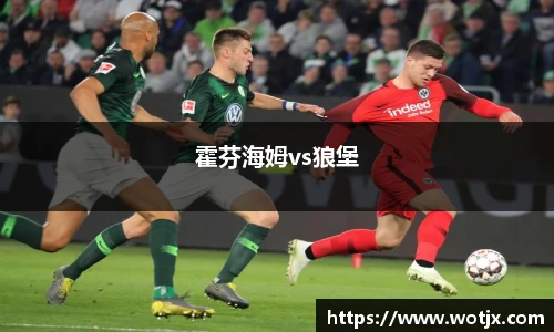 霍芬海姆vs狼堡